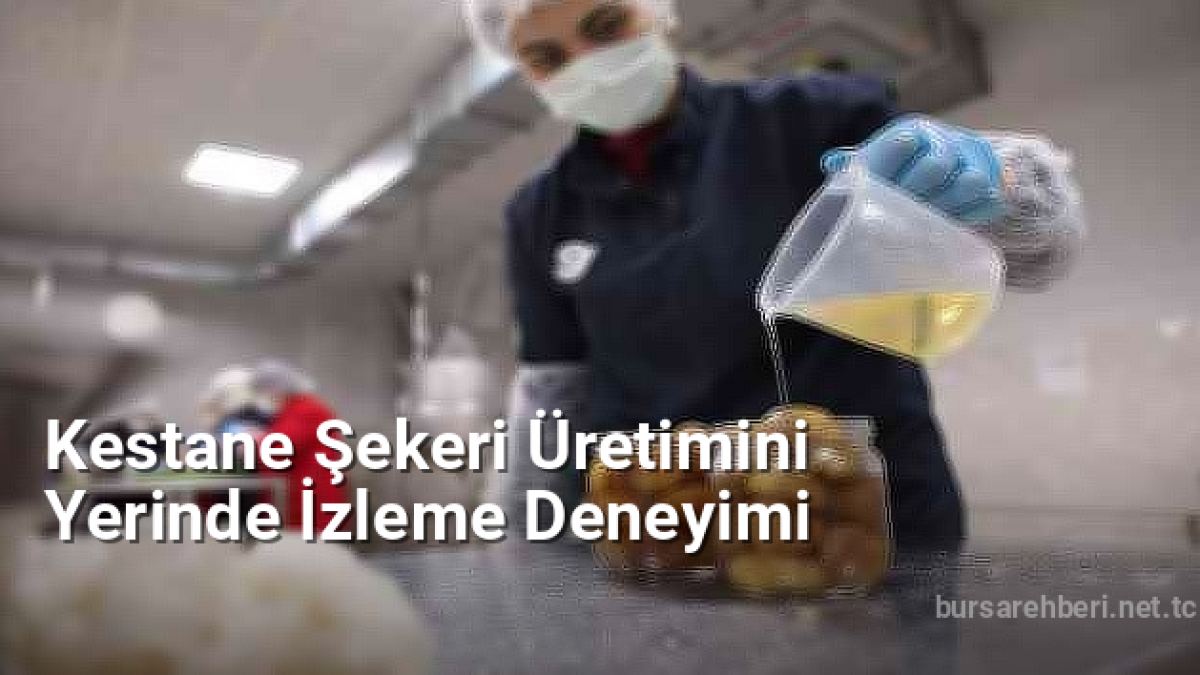 Kestane Şekeri Üretimini Yerinde İzleme Deneyimi - bursarehberi.net.tc